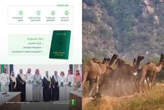 SAUDI ARABIA CAMEL PASSPORT  CAMELS PASSPORT  SAUDI ARABIA  LATEST NEWS IN MALAYALAM