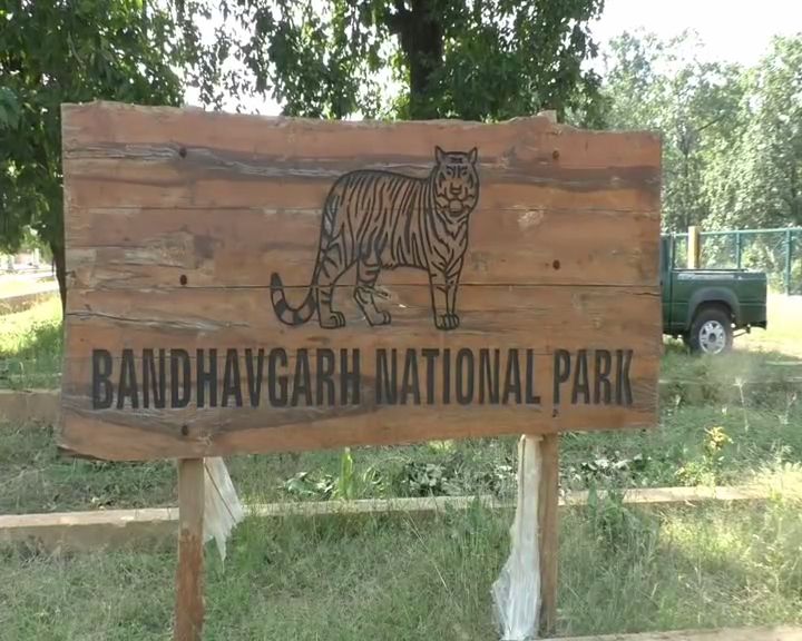 BANDHAVGARH TIGER RESERVE