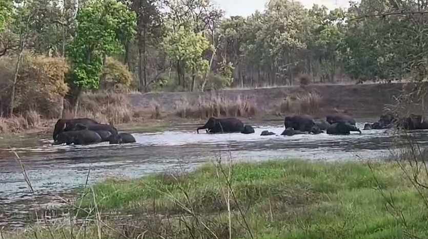 BANDHAVGARH DESI JUGAAD FOR WATER