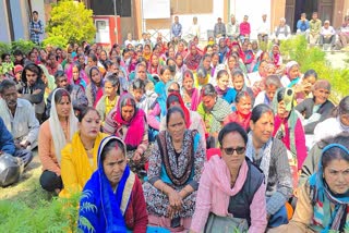 TIGER TERROR IN RAMNAGAR