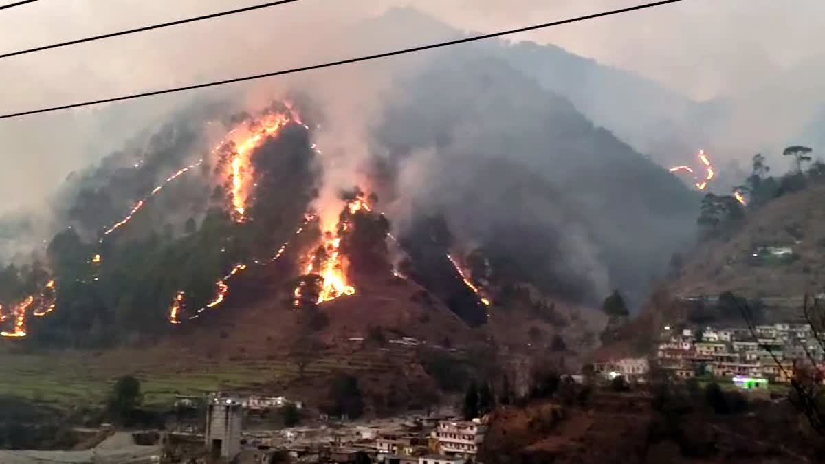 Massive Forest Fire At Uttarakhand Hills Brought Under Control After 48-Hour Operation