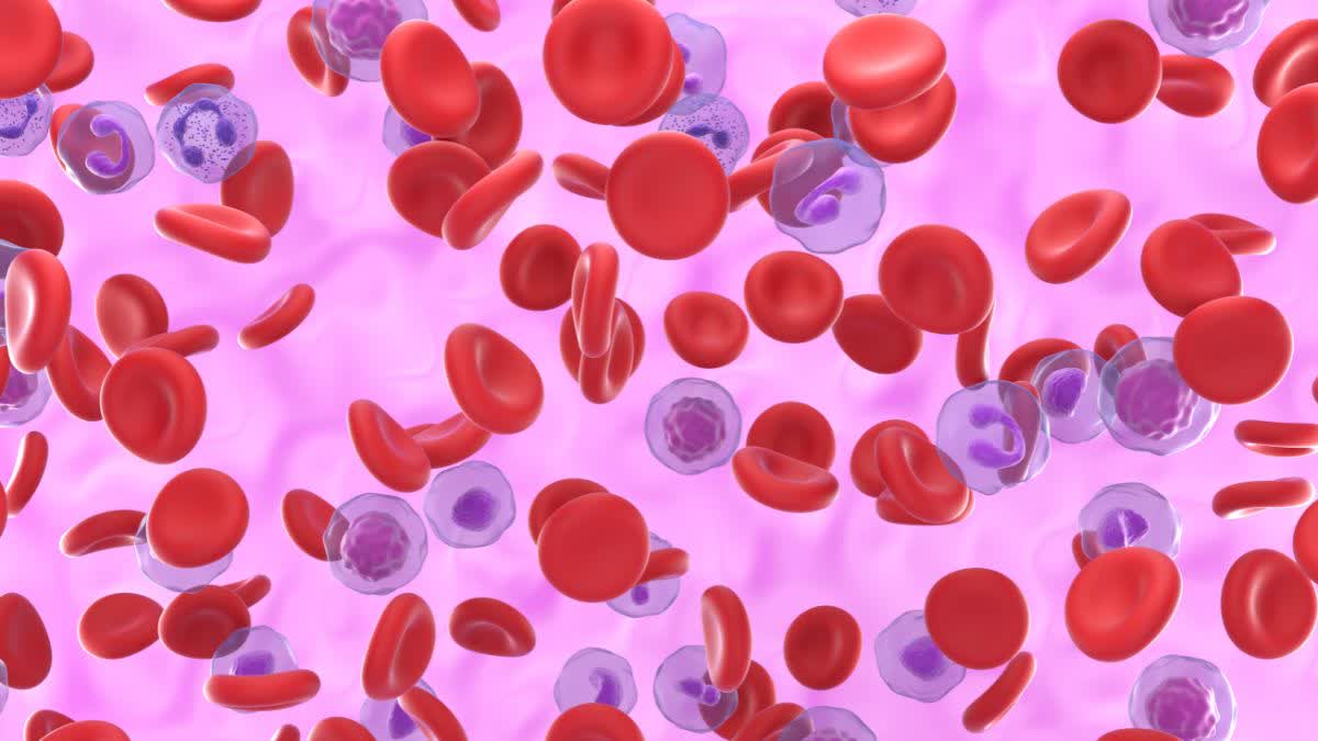 BHOPAL 2 PEOPLE SUFFER POLYCYTHEMIA