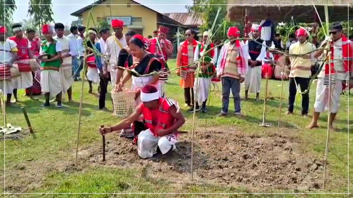 Mising festival Ali Aye Ligang celebrated by Pub Majuli College