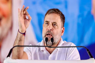 A file photo of Rahul Gandhi.