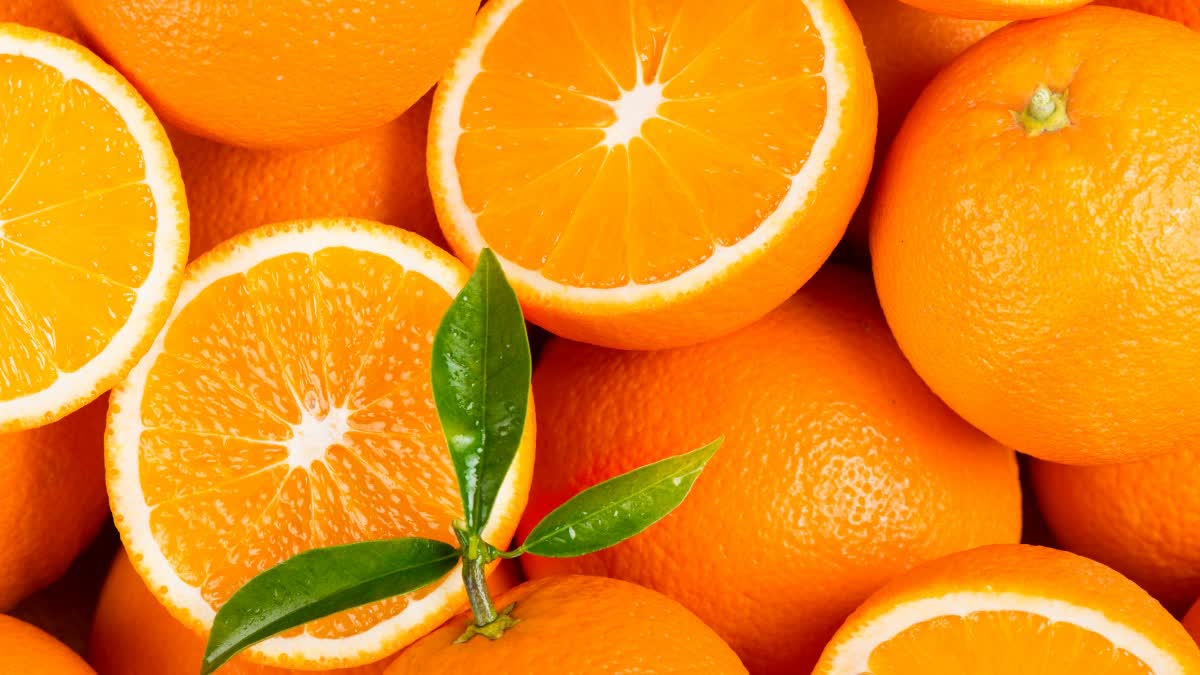 SUMMER HEALTH TIPS  AVOID THESE FOODS DURING SUMMER  SUMMER DIET PLAN  ಬೇಸಿಗೆಯಲ್ಲಿ ಆರೋಗ್ಯ ಕಾಪಾಡಲು ಟಿಪ್ಸ್