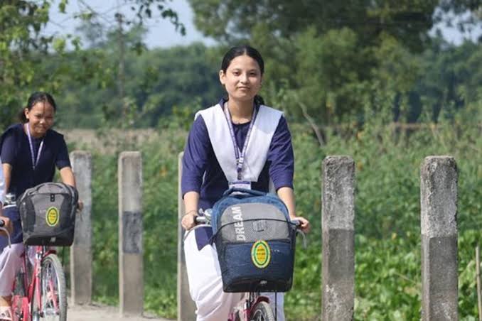 Moina Scheme 2024