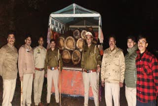 Illegal Deodar Felling in Mandi