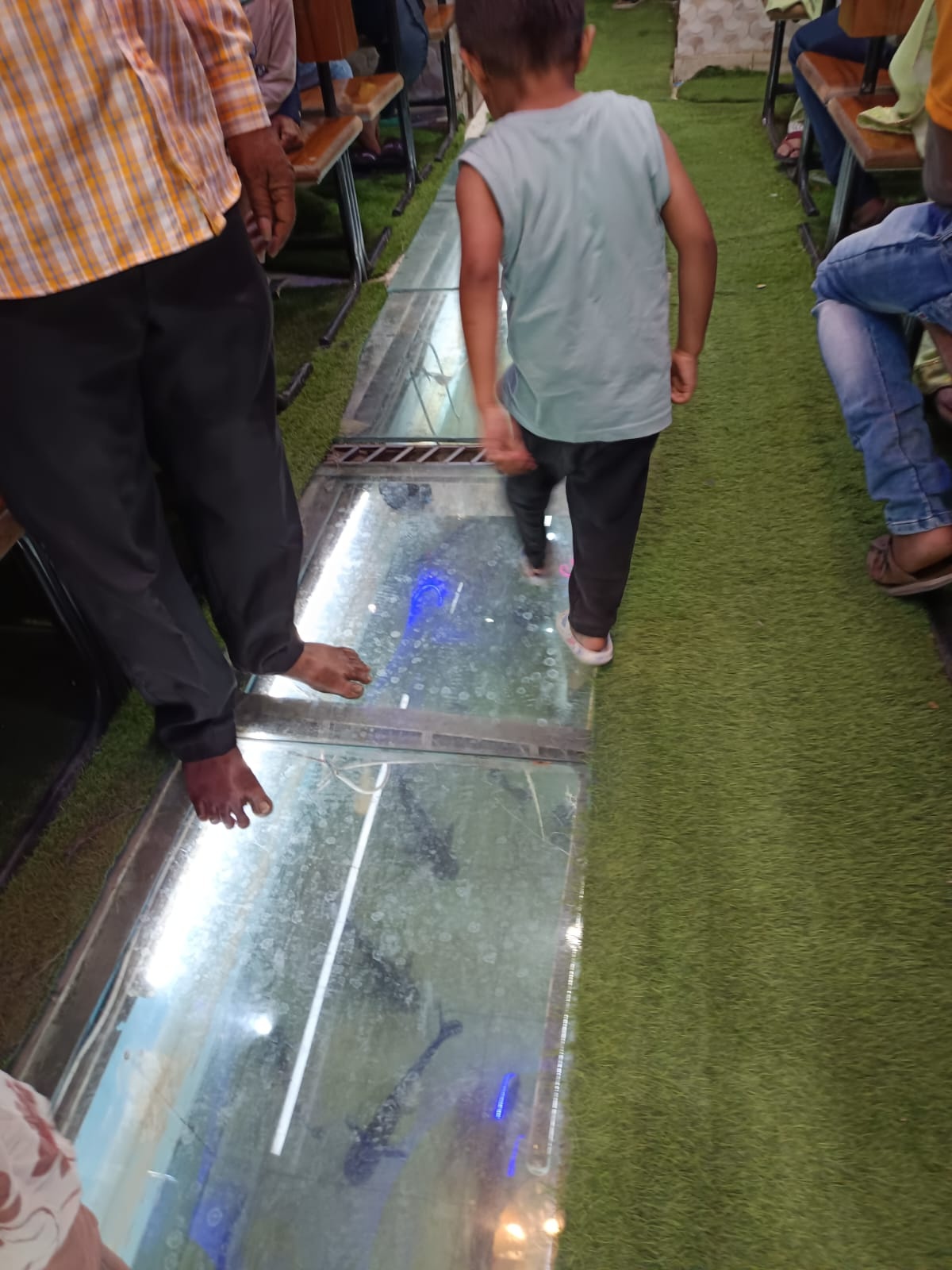 Boy walks over the aquarium