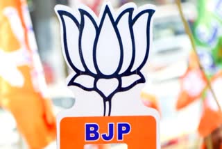 दिल्ली बीजेपी जल्द चुनेगी 14 जिलों के अध्यक्ष