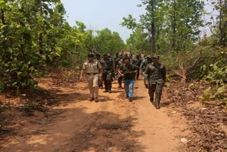 Naxalites eyes on levy in bidi leaves in Palamu