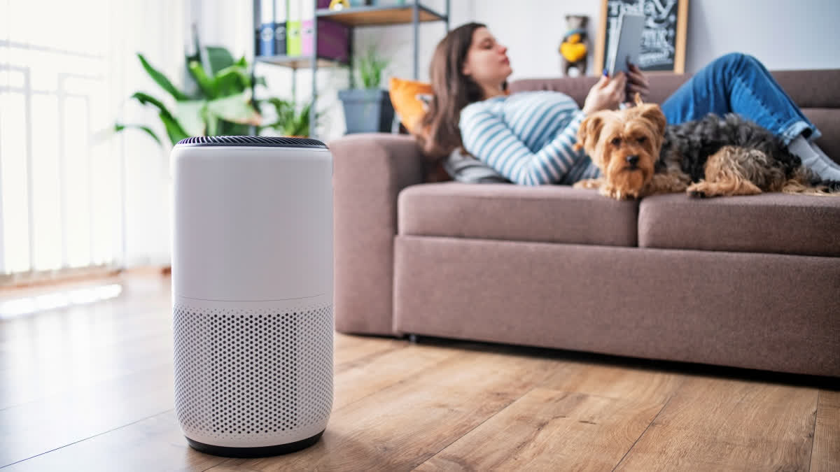 World Asthma Day 2026: Can Air Purifiers Really Reduce Symptoms In Patients? Air purifier in a home with a pet dog
