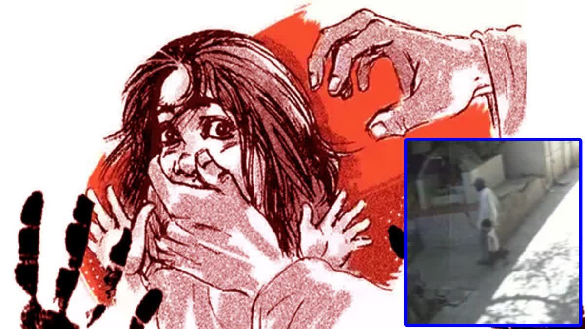 प्रातिनिधिक चित्र, इन्सेटमध्ये सीसीटीव्ही स्क्रिन पिक