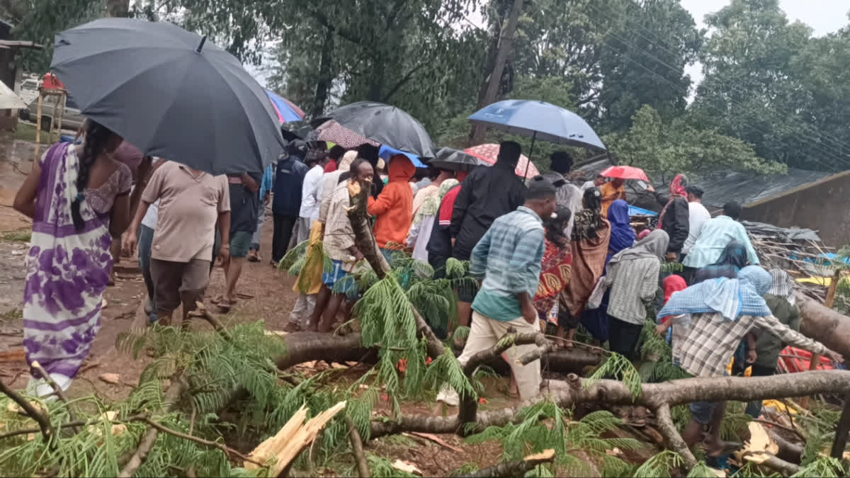 Storm Havoc In Andhra Pradesh's ASR District