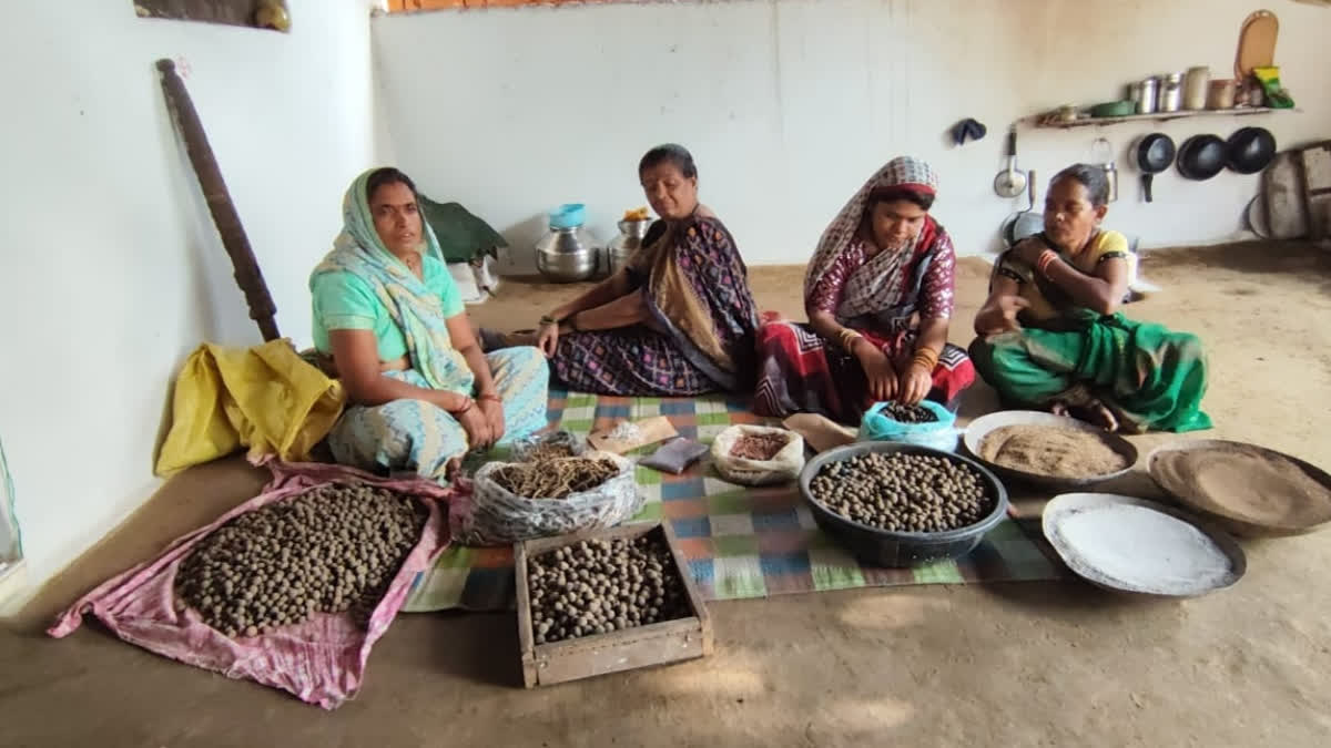 Women From Chhindwara Village Prepare Seed Balls To Make Land Green Chhindwara