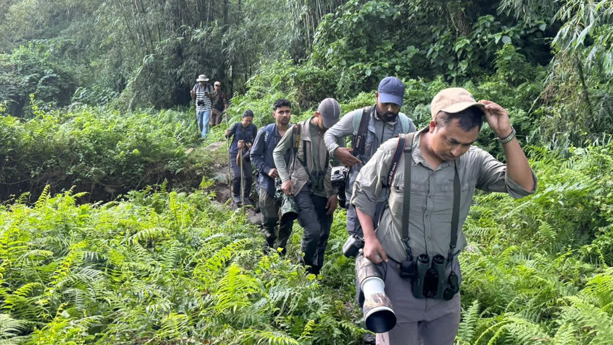Kaziranga National Park