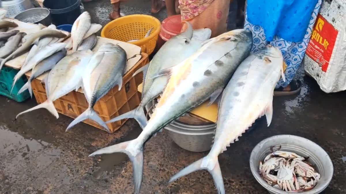 No matter how nutritious they may be, never make the mistake of eating these fish, experts explain the reason.
