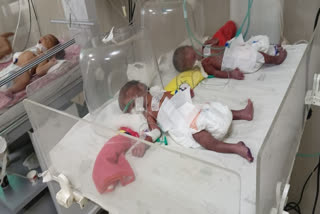 High-Risk Pregnancy Ends In Tears Of Joy And Hope As Madhya Pradesh Woman Delivers Quadruplets Within An Hour