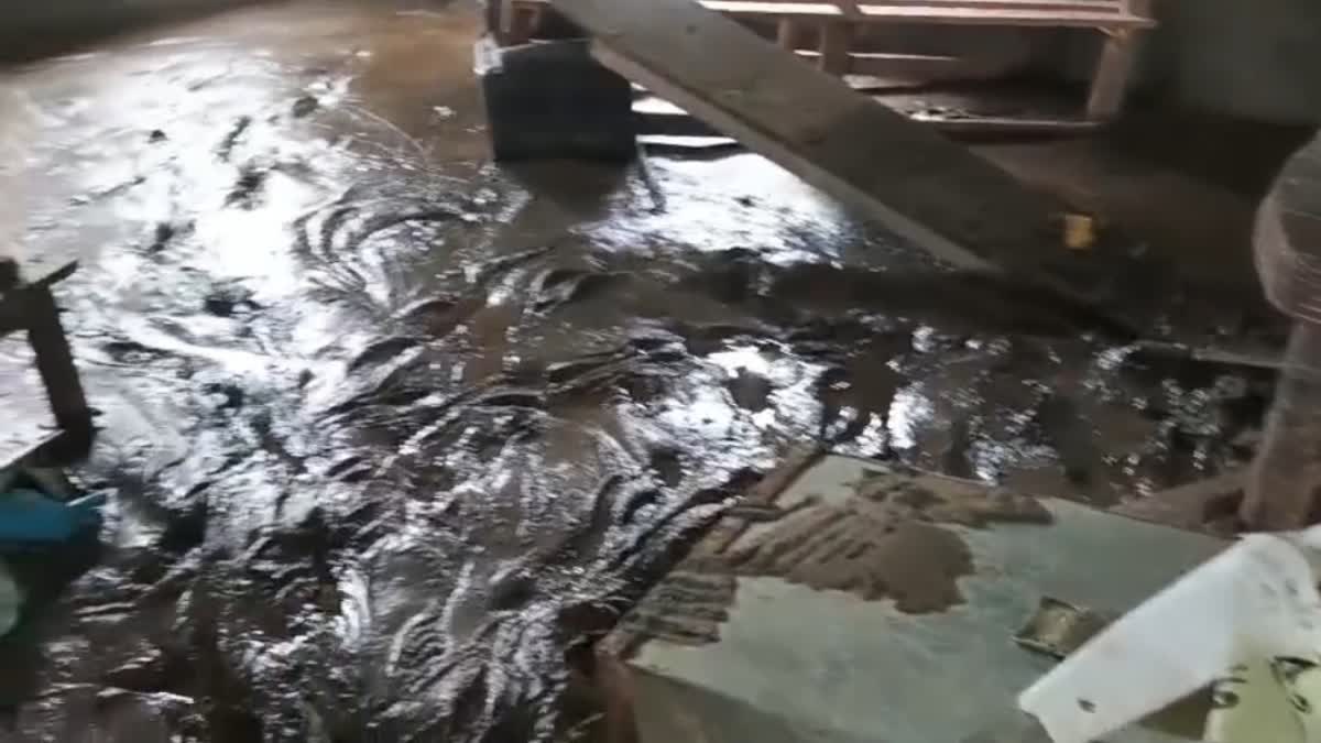assam flood 2025