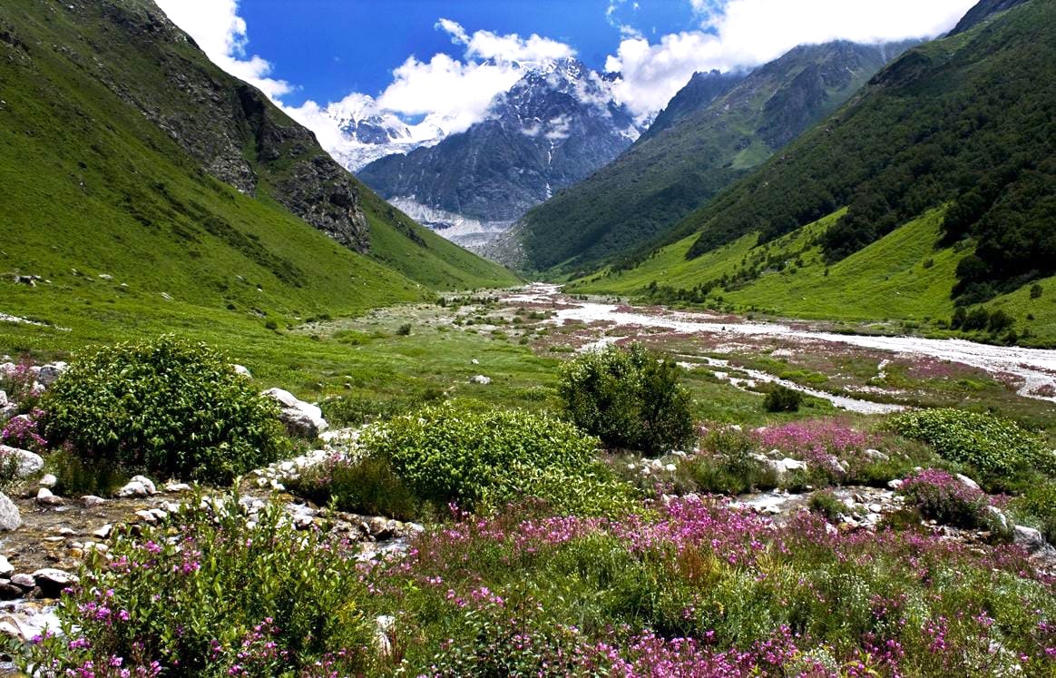 Valley of Flowers Trip
