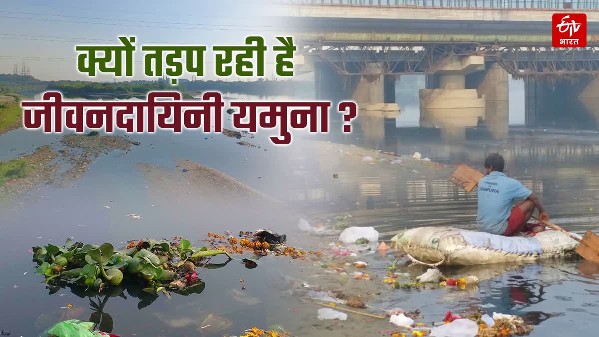 आखिर क्यों दम तोड़ रही है यमुना नदी ?