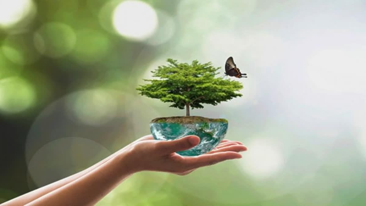 Why Observe World Environment Day?