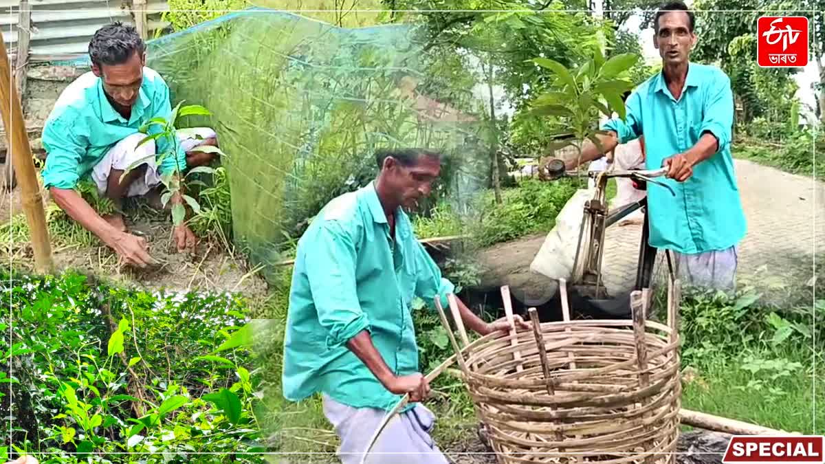 World Environment Day 2026