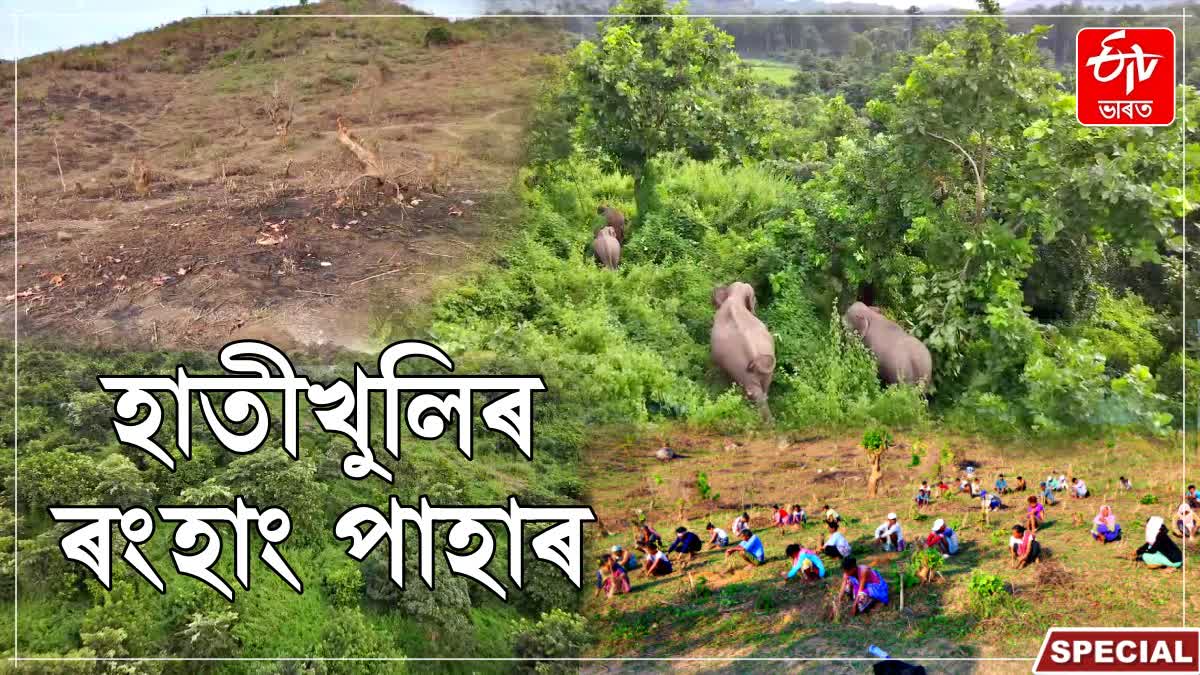 World Environment Day 2026