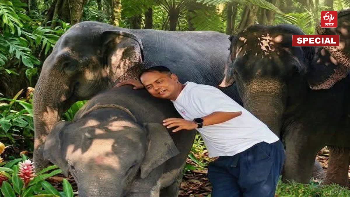 Man Elephant conflict