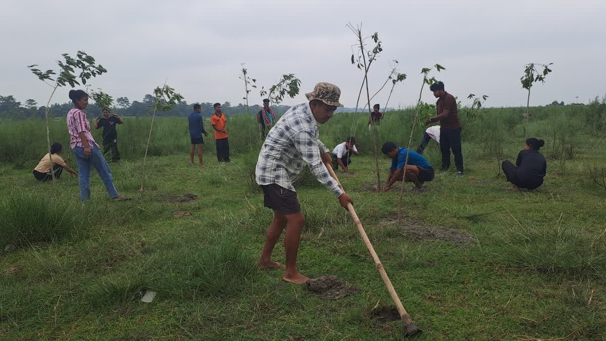 World environment day Celebration in Teok