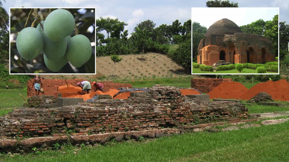 Not only is Malda a district full of historical remains, but also Bengal's mango capital