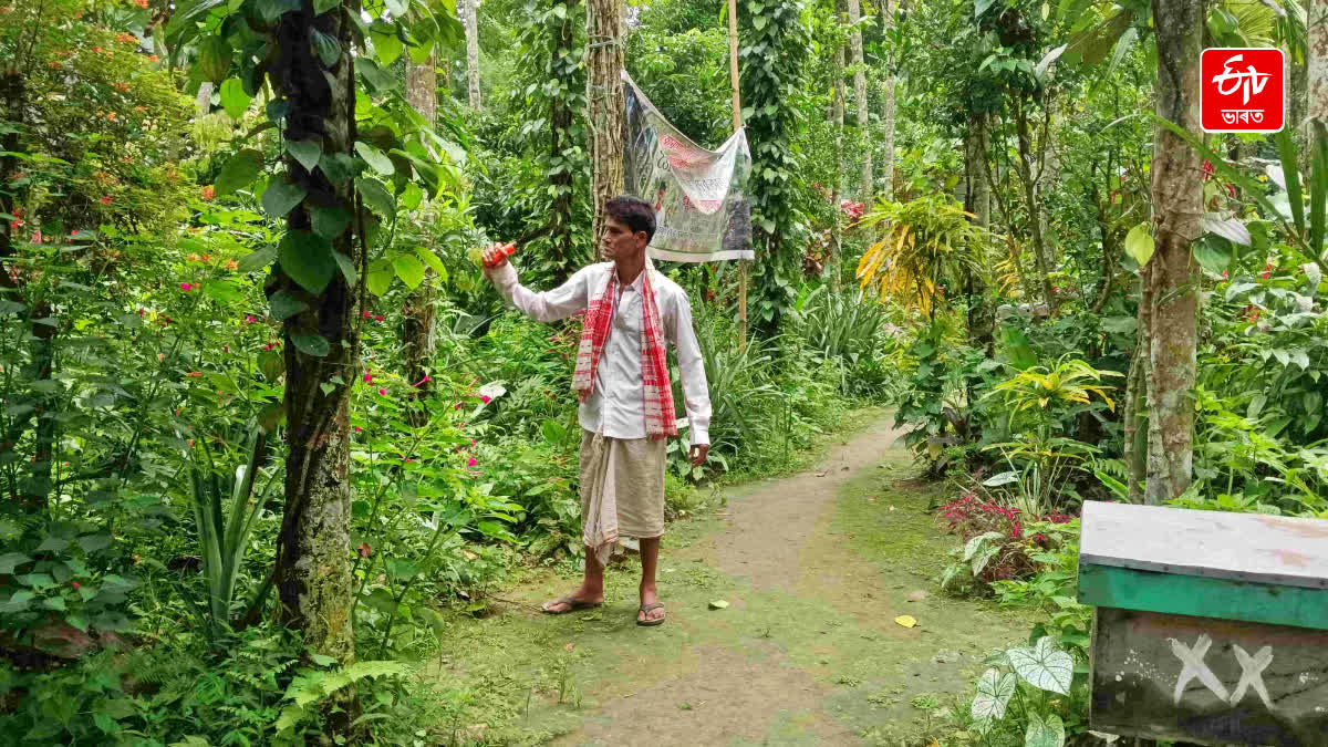 Deh Bora, a nature lover who has been working for 37 years with the aim of making nature green