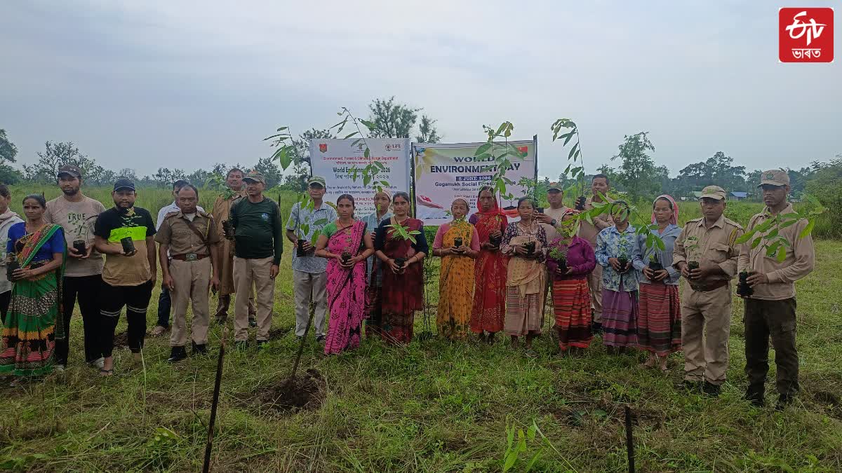 Dhemaji News