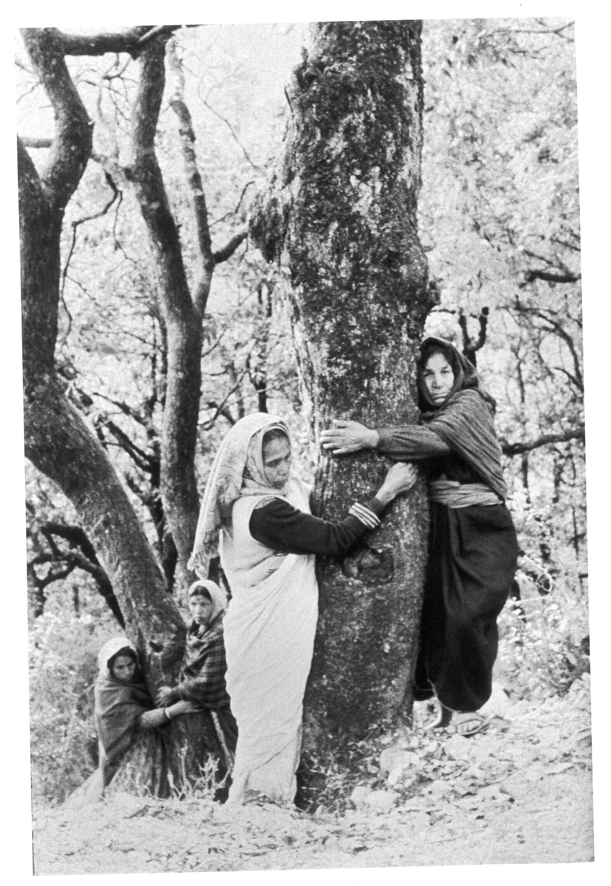 Remembering Gaura Devi, Whose Tree Hugs Gave Birth To The Chipko Movement