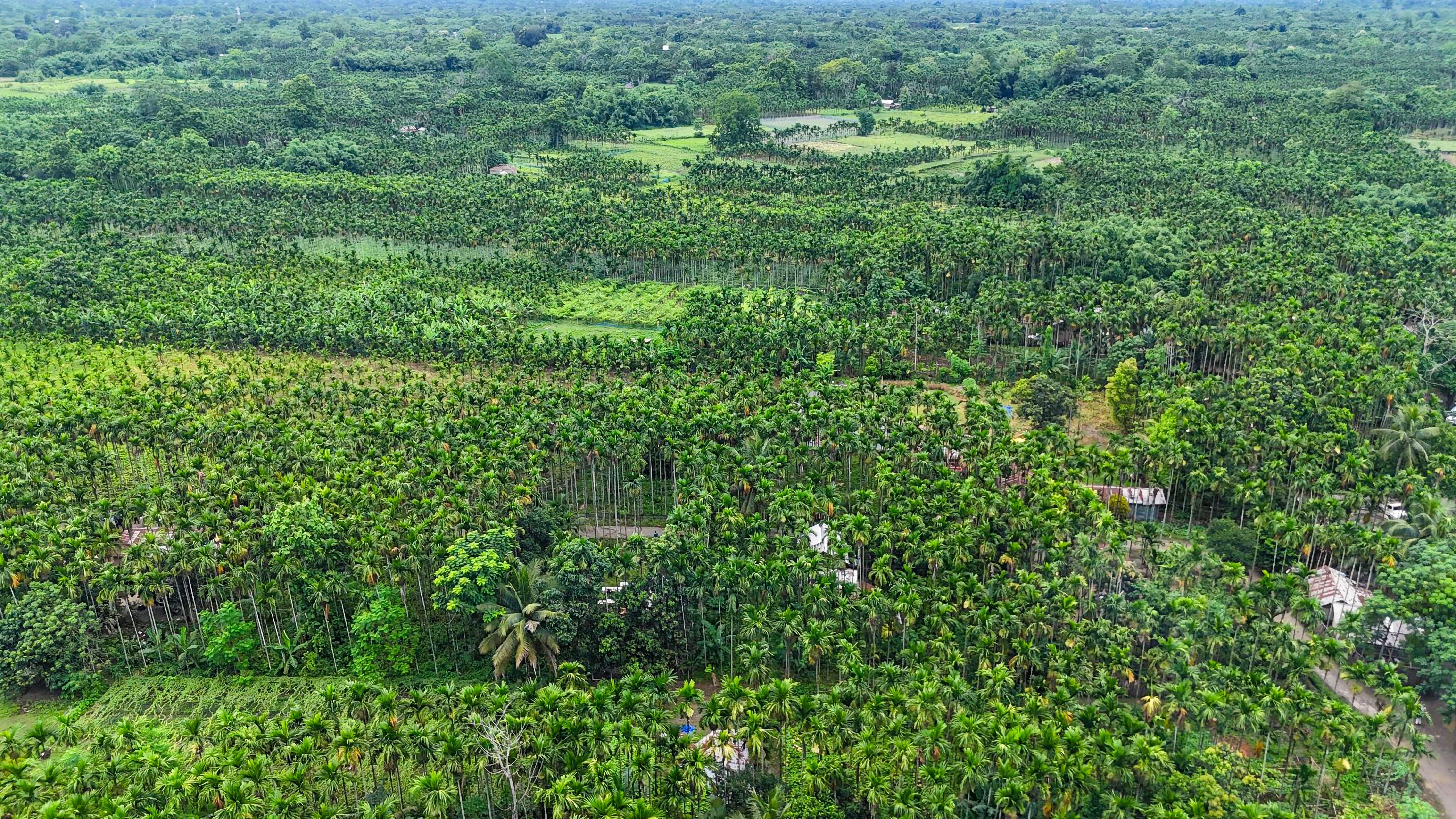 Why Observe World Environment Day?