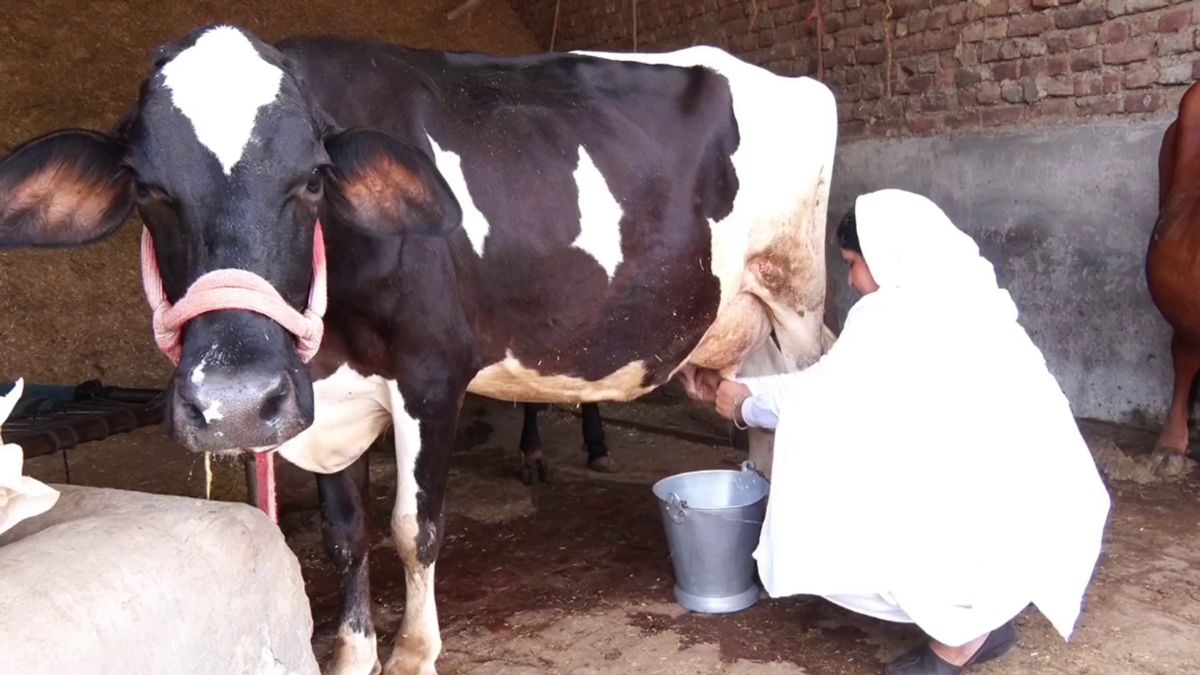 PANCHKULA WOMAN FARMER RANJO