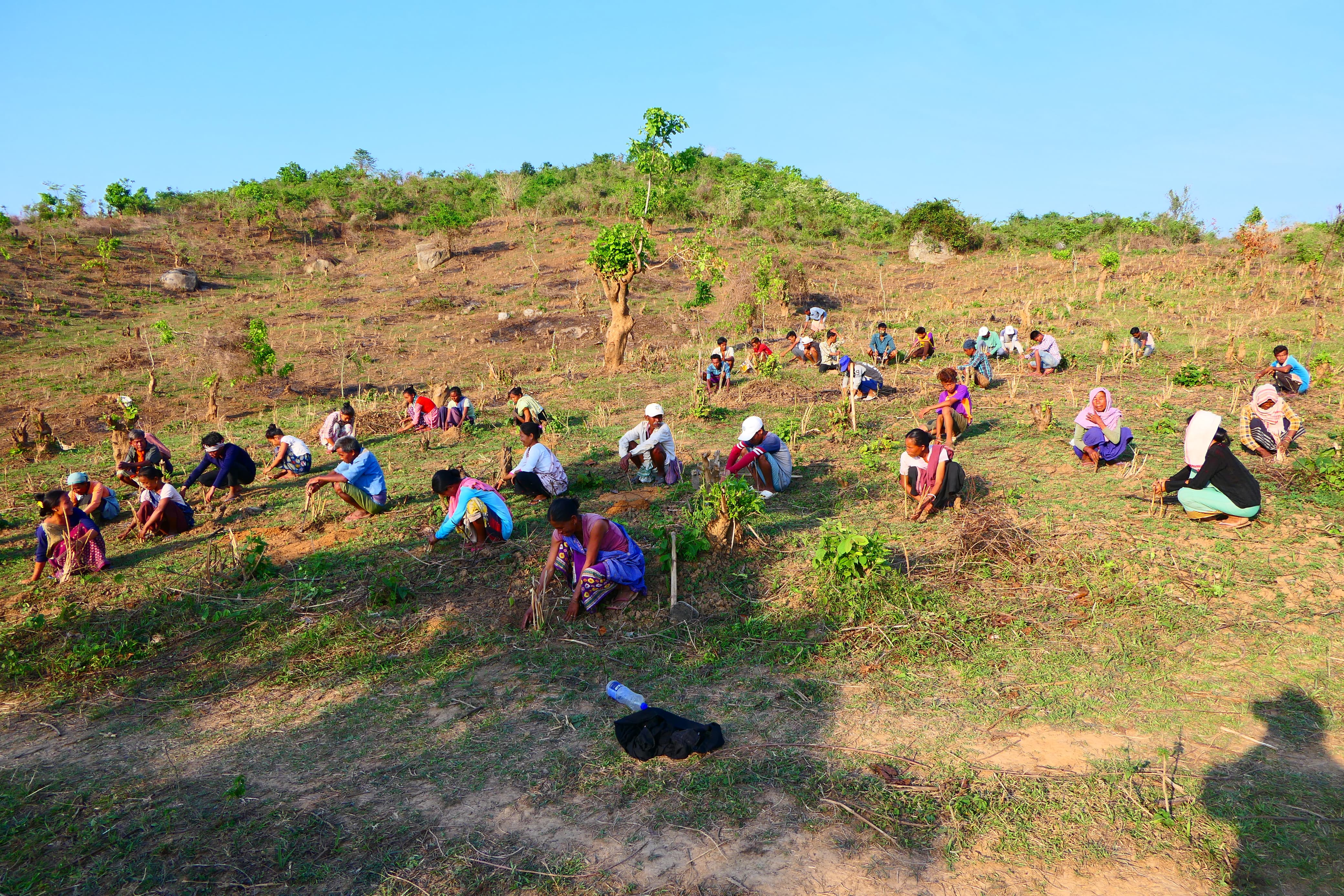 World Environment Day 2026