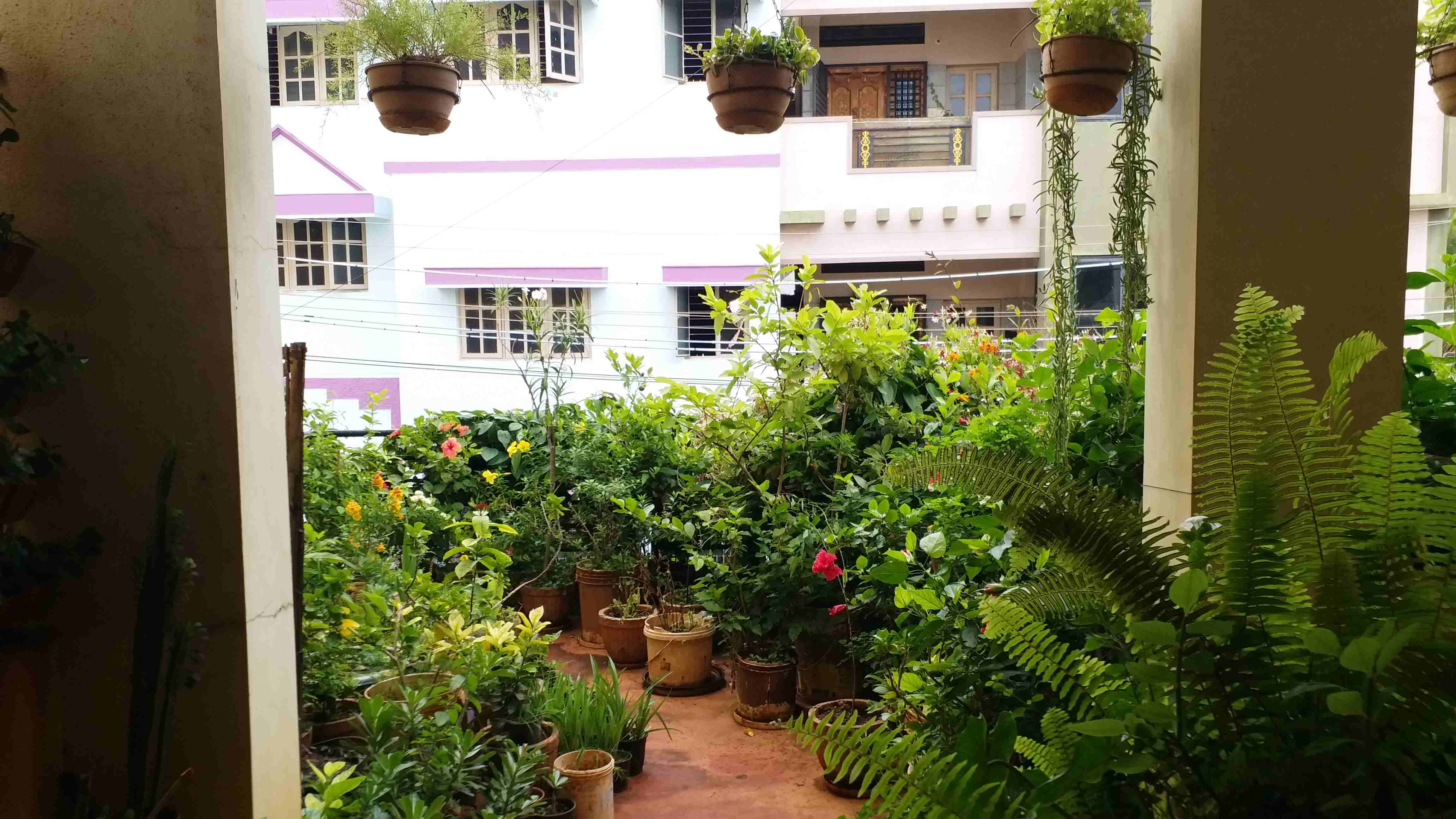 DAVANAGERE  PROF S SHISHUPAL  HOME TOUR  ವಿಶ್ವ ಪರಿಸರ ದಿನ 2026