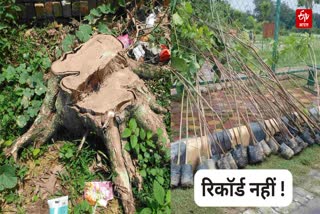 GORAKHPUR FOREST
