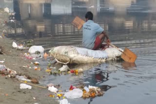 The Yamuna in Delhi: River or sewer?