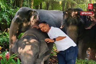 Man Elephant conflict