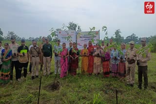 Dhemaji News