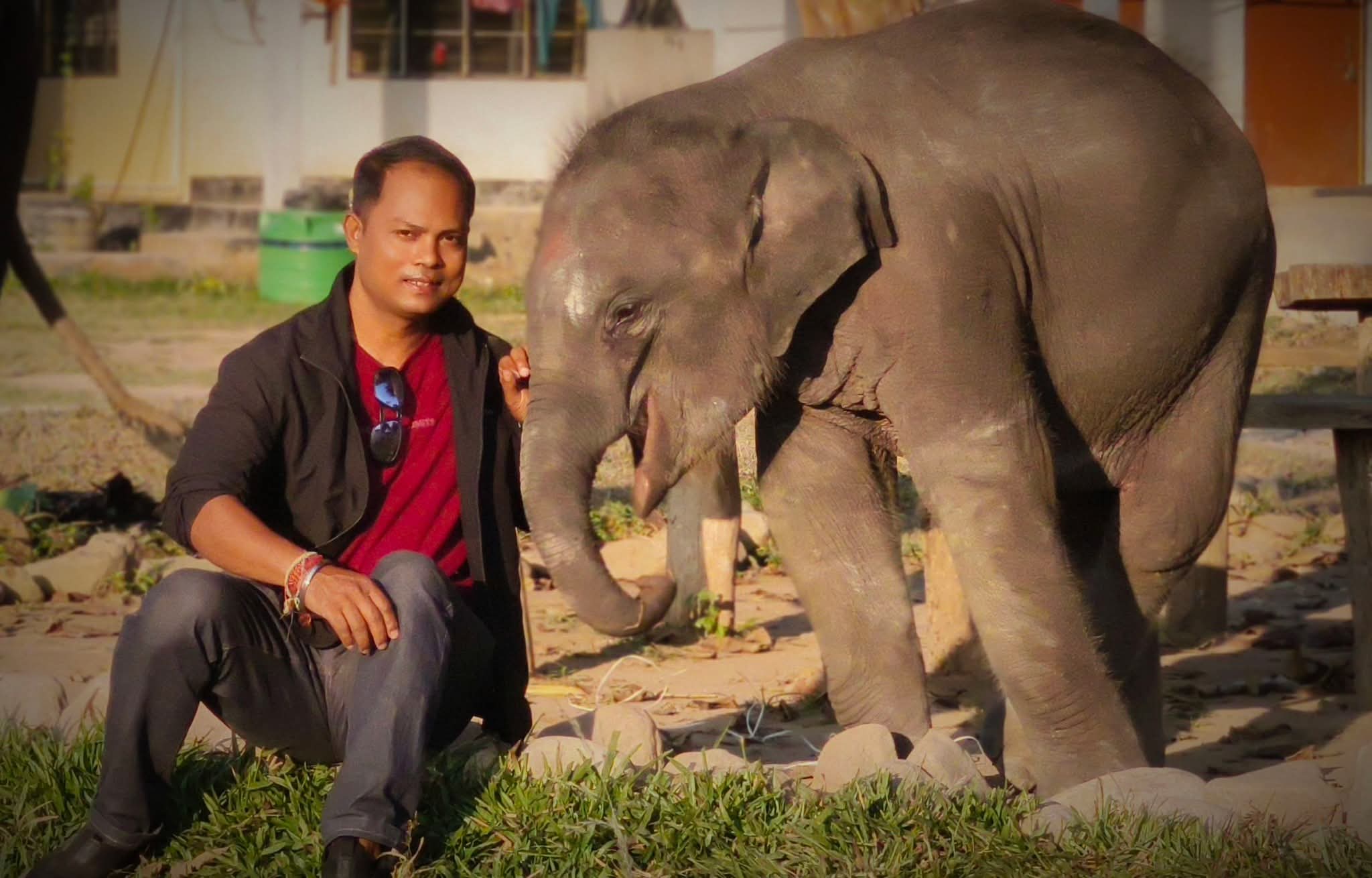 Man Elephant conflict