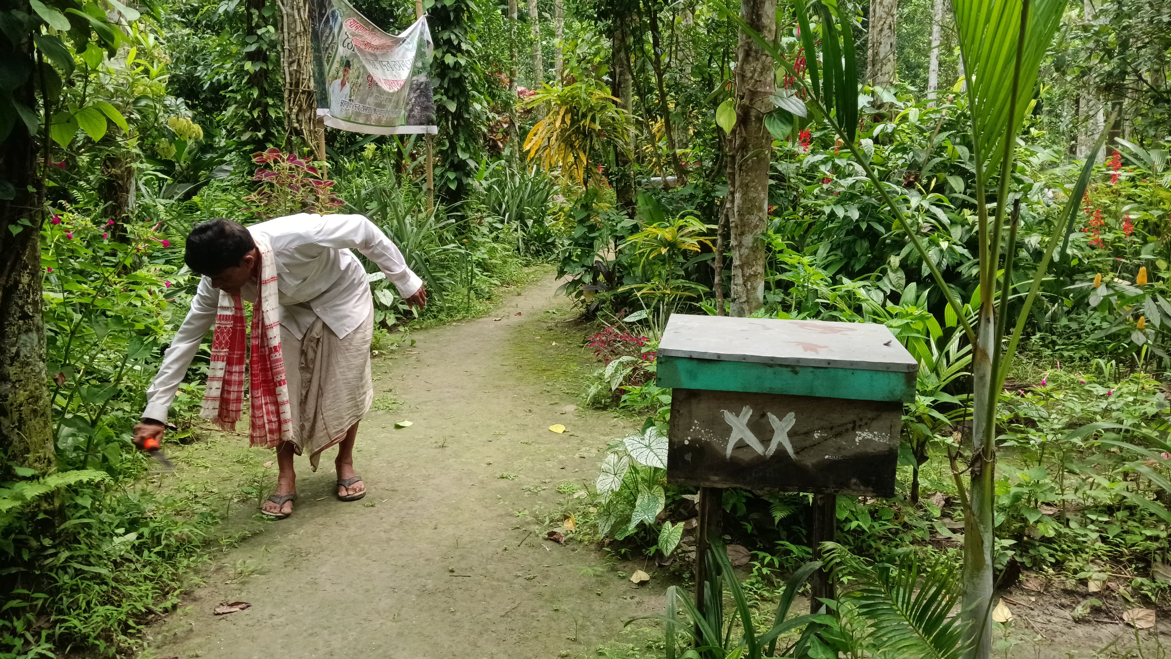 Deh Bora, a nature lover who has been working for 37 years with the aim of making nature green