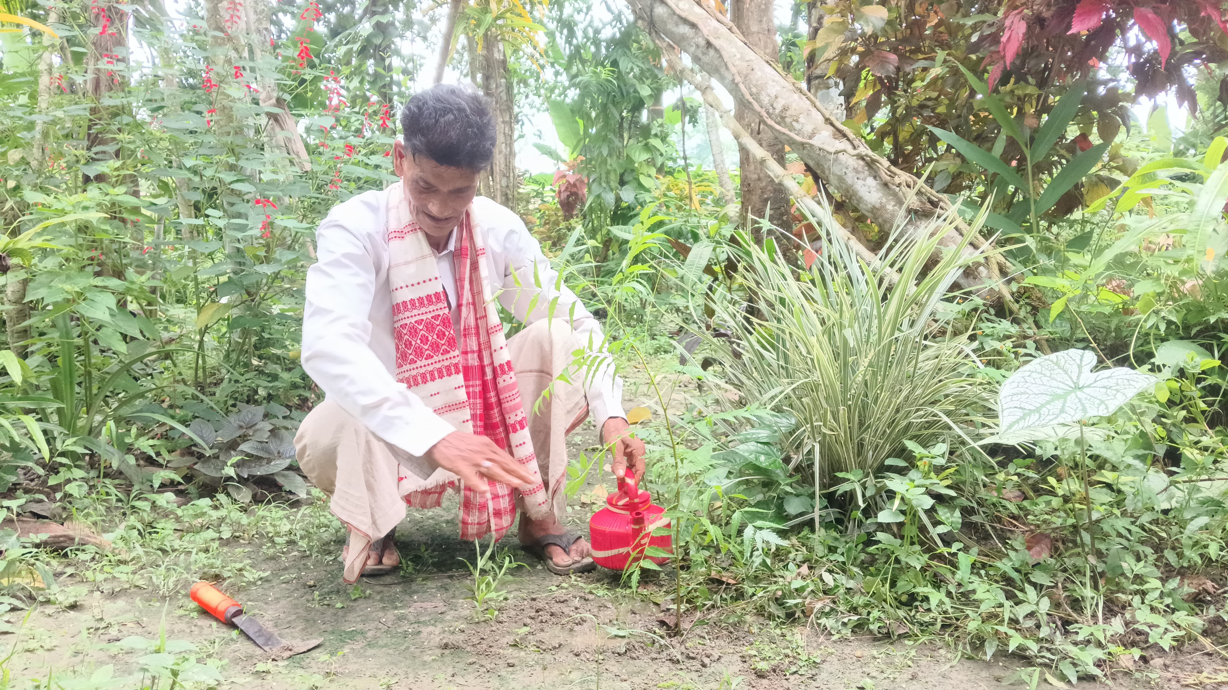 Deh Bora, a nature lover who has been working for 37 years with the aim of making nature green