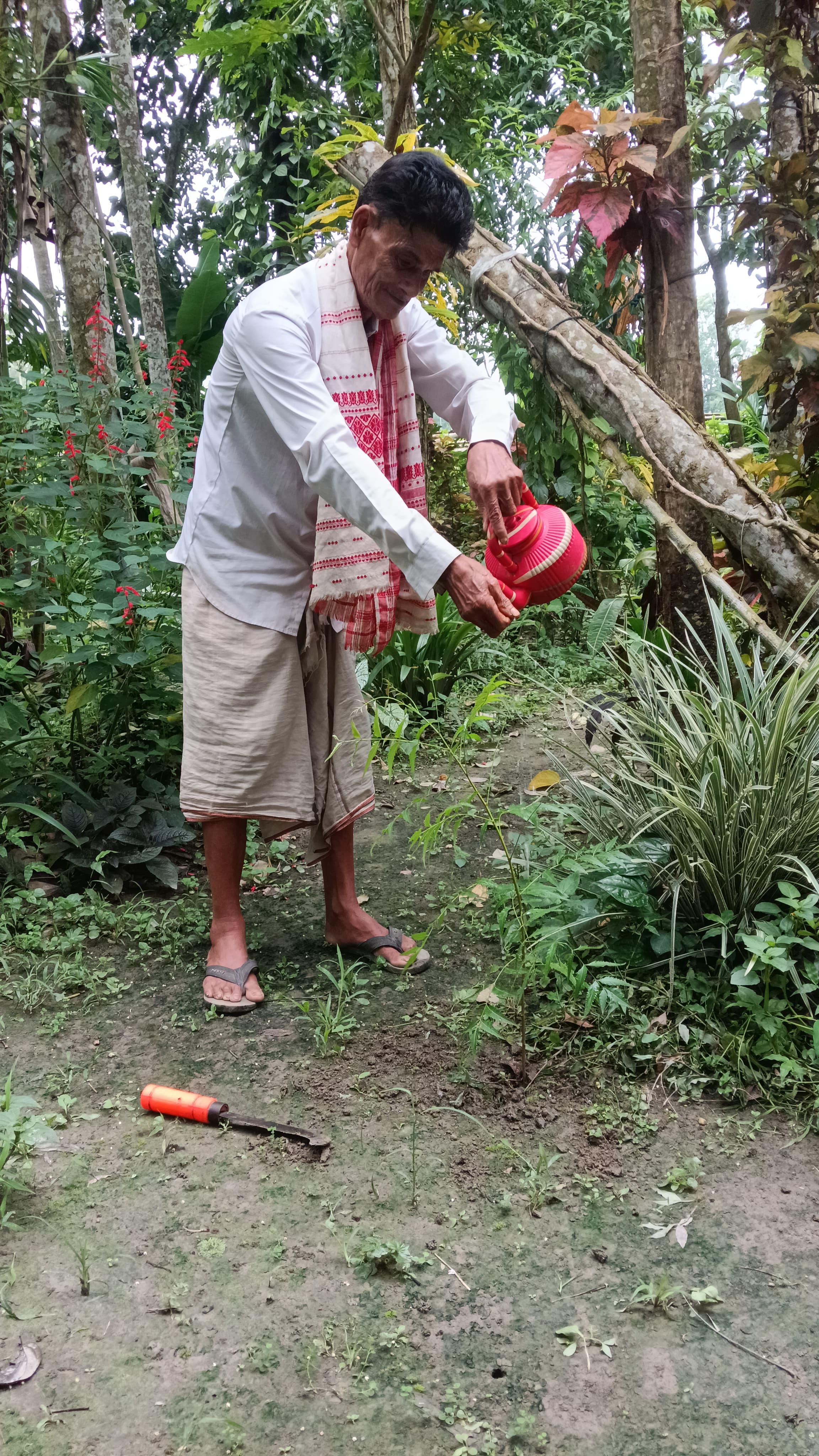 Deh Bora, a nature lover who has been working for 37 years with the aim of making nature green