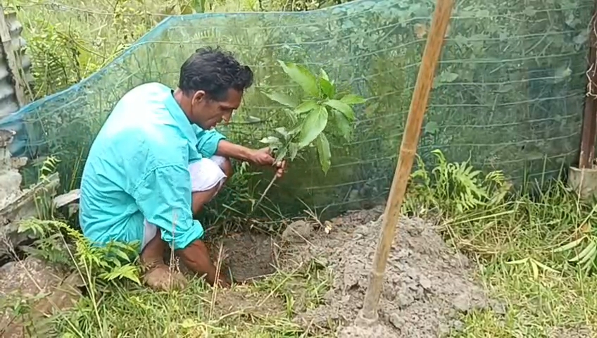 World Environment Day 2026