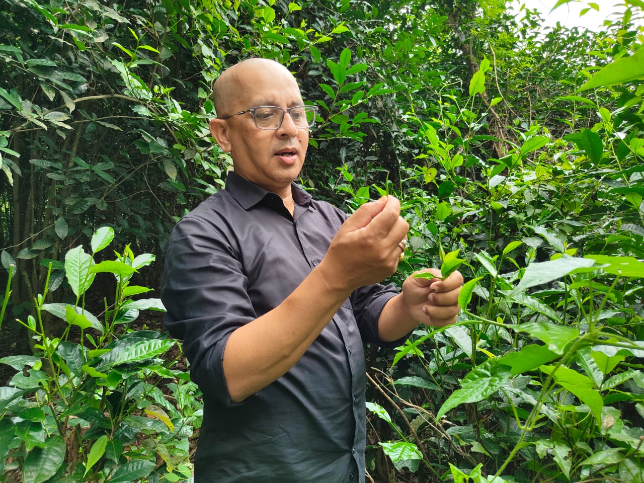 Food Forest Sonapur