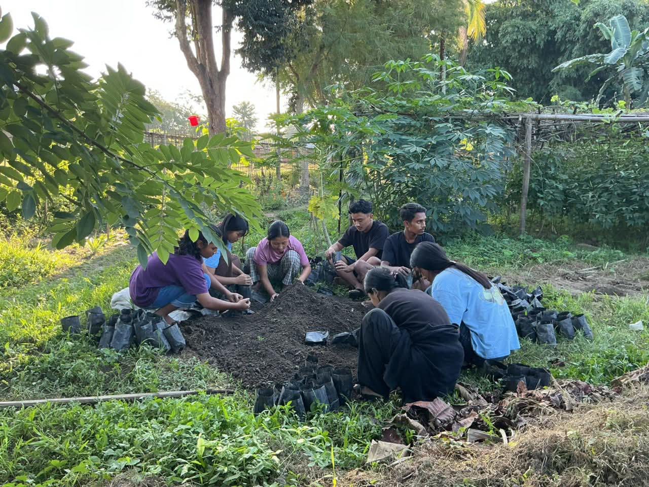 Food Forest Sonapur