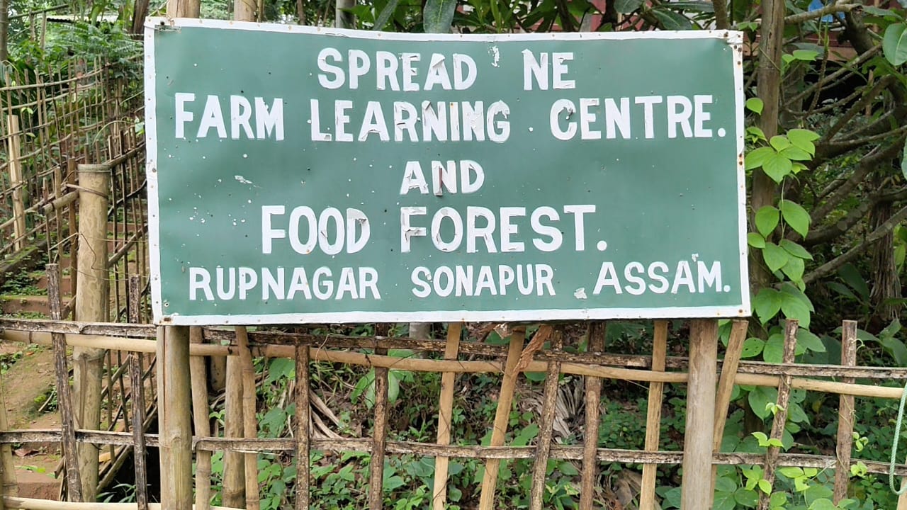 Food Forest Sonapur