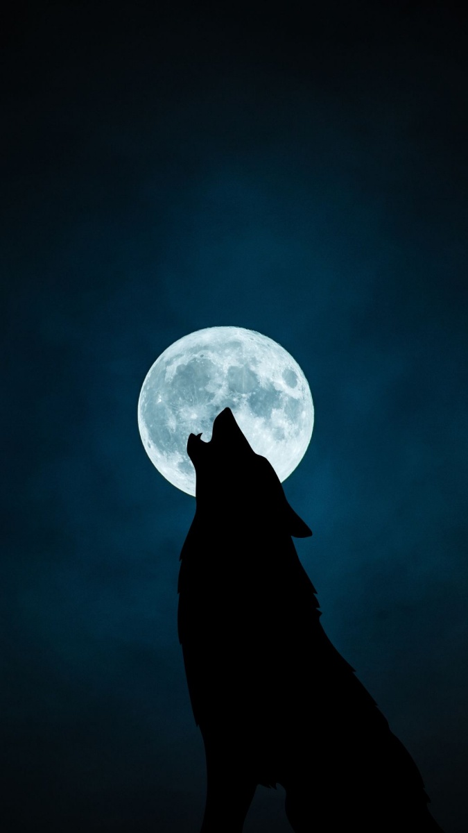 Wolf howling at the moon